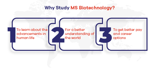 Why Study MS Biotechnology