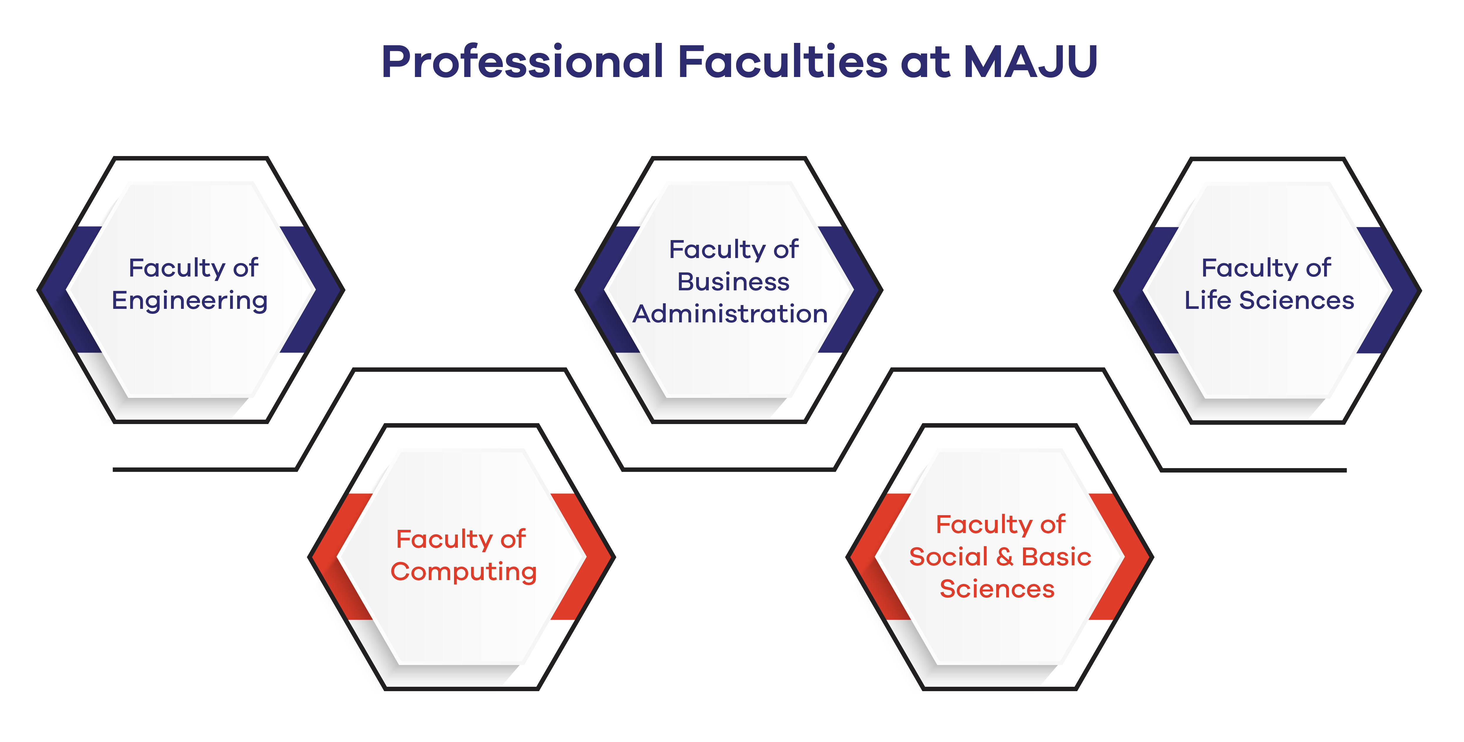 Professional Faculties at MAJU