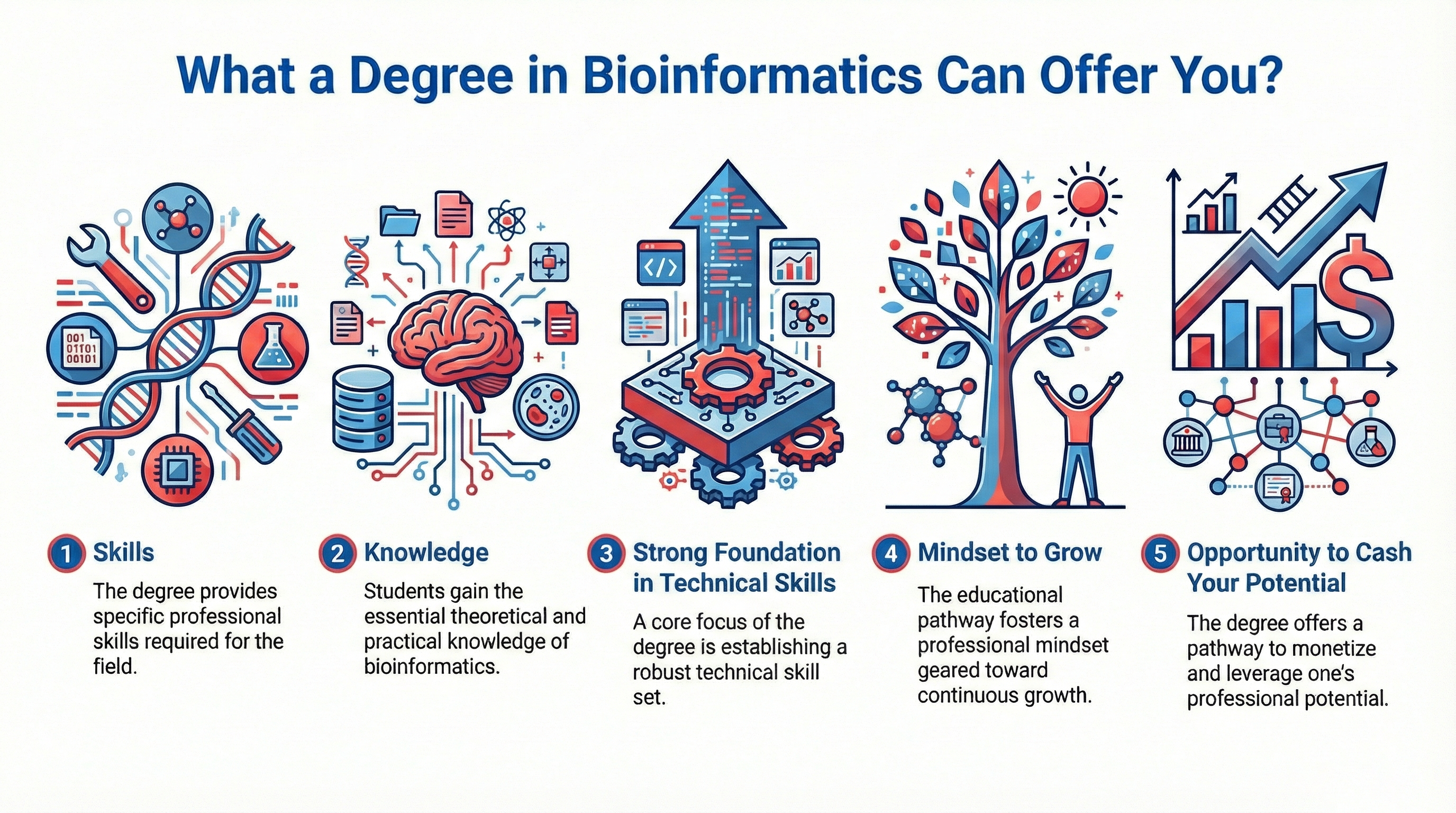 Masters of Science in Bioinformatics is offered at Muhammad Ali Jinnah University (MAJU) in Karachi in Spring 2026